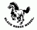Black Horse Model