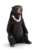 Mojo Medvěd malajský