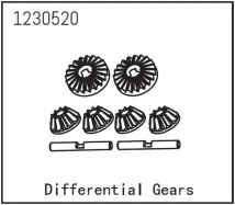 Differential Gear Set