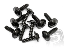 Samořezný šroub M3x10mm