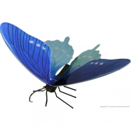 Oceľová stavebnica Butterfly Pipevine Swallowtail