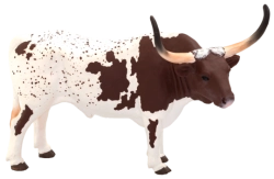 Mojo Texaský dlouhorohý býk