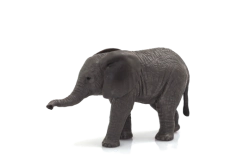 Mojo Slon africký slůně