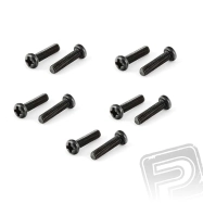 Skrutka s guľatou hlavou 3x12mm (10 ks.)