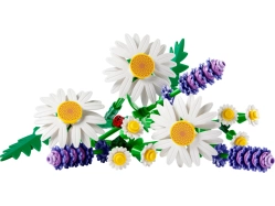 LEGO Botanicals - Kopretiny