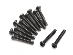 Samorezná skrutka s polguľatou hlavou PBHO 2 x 12 mm 12 ks