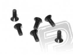 Šroub se záp. hlavou M3x8mm (6 ps)