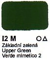 Agama Email I2 M Základní zelená