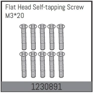 1230891 - M3*20 Flat Head Self-tapping Screw Set (10)