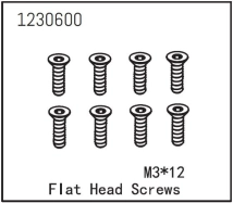 Flat Head Screw M3*12 (8)