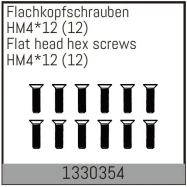 Flat head hex fine pitch screws HM4*12/12 pcs