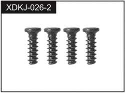 J-026-2 - 2.3*5 Screws (4)