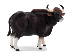 Mojo Gaur býk