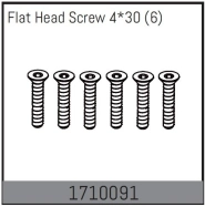 Flat Head Screw 4*30 (6)