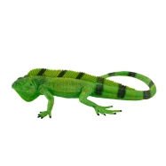 Mojo Leguán