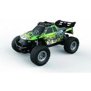 RC auto truck Mountain Race Champion