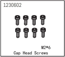Cap Head Screw M2*6 (8)