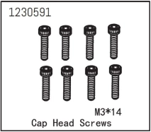 Cap Head Screw M3*14 (8)