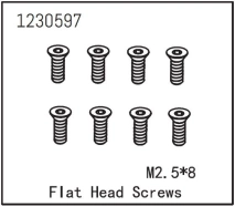 Flat Head Screw M2.5*8 (8)
