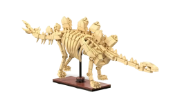 Stegosaurus kit