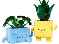 LEGO Botanicals - Veselé rostlinky
