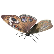 Luxusní ocelová stavebnice Butterfly Buckeye