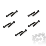 Skrutka s guľatou hlavou 3x20mm (10 ks.)