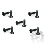 Skrutka so zápustnou hlavou 3x10mm (10 ks.)