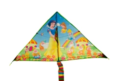 Létající drak Princezny Disney