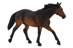 Mojo Quarter horse hnědák