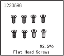 Flat Head Screw M2.5*6 (8)