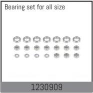 1230909 - Complete Bearing Set