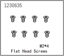 Flat Head Screw M2*4 (8)