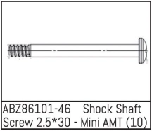 ABZ86101-46 - Shock Shaft Screw 2.5*30 - Mini AMT (10)