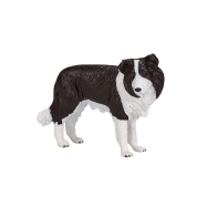 Mojo Border kolie