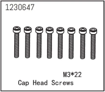 1230647 - Cap Head Screws M3*22 (8)