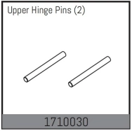 Upper Hinge Pins (2)