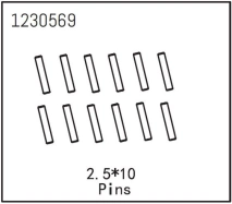 Piny 2,5×10 (12)