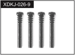 J-026-9 - 2.5*19 Screws (4)