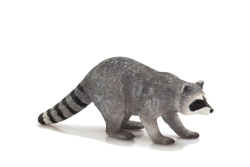 Mojo Mýval