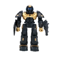 RC robot Cady Wilo