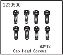Cap Head Screw M3*12 (8)
