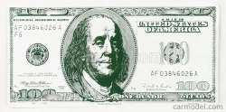 Edicola Accessories Funny Metal Plate - 100 Dollars 1:1 Bílá Zelená