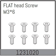 1231020 - Flat Head Screws M3*6 (8)