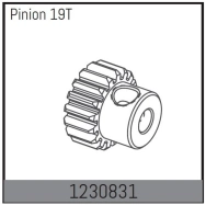 1230831 – Pastorok motora 19T