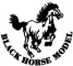 Náhradní díly letadla Black Horse | RCprofi.cz