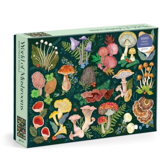 Galison Puzzle Svet húb 1000 dielikov