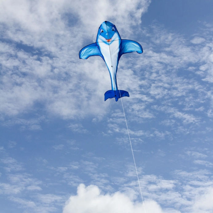 Lietajúci šarkan Dolphin Kite
