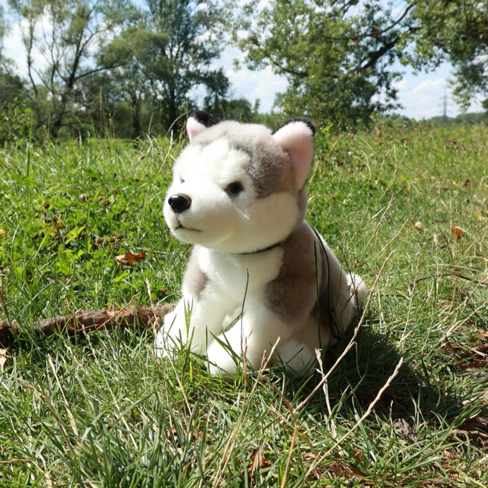 Rappa Plyšový pes husky sediaci s vôdzkou 28 cm ECO-FRIENDLY