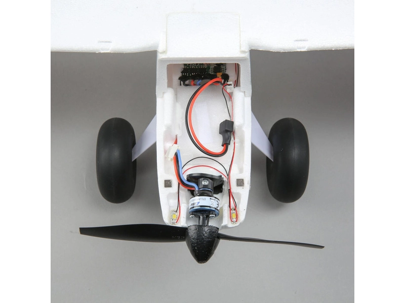 Drevo 0,7 m SAFE Select BNF Basic